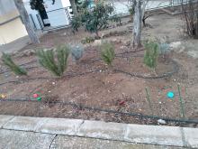 Decoración del jardín de la paz 2