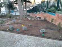 Decoración del jardín de la paz 3