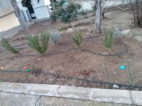 Decoración del jardín de la paz 2
