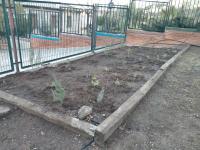 Plantación de aromáticas